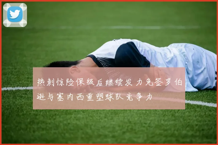 热刺惊险保级后继续发力免签罗伯逊与塞内西重塑球队竞争力